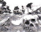 Exhumacin verano 2002.- fosa comn de Piedrafita de Babia